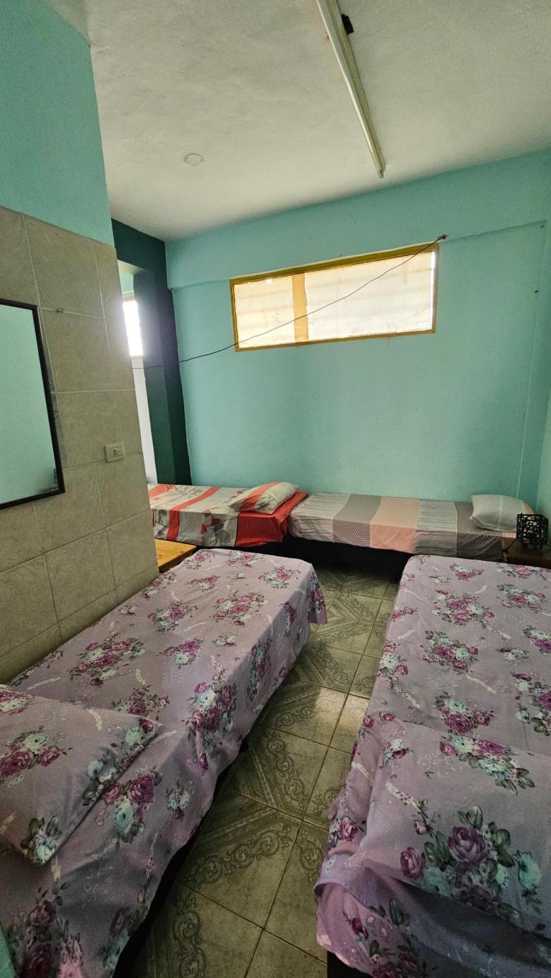 Departamentos Chow Chow Apartment Posadas Exterior foto